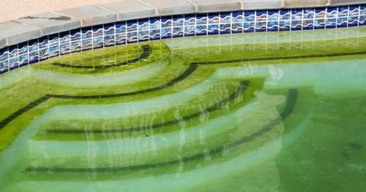 une-eau-de-piscine-verte