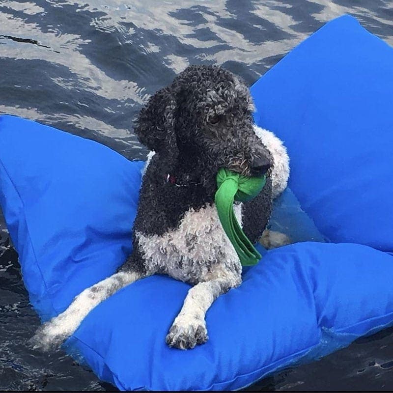 Coussin flottant Aqua Bean Bag – Image 3